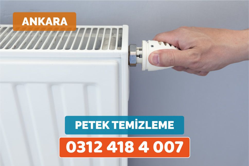 Ankara Kombi Tamircisi-Ustası 03124184007
